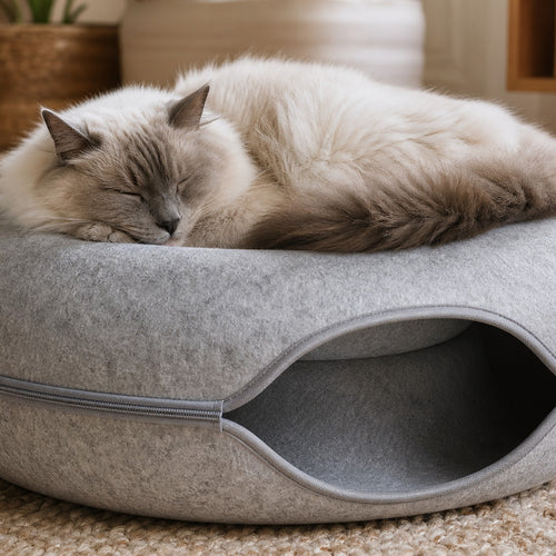 Donut Cat Bed