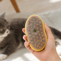 Steam Brush Pro